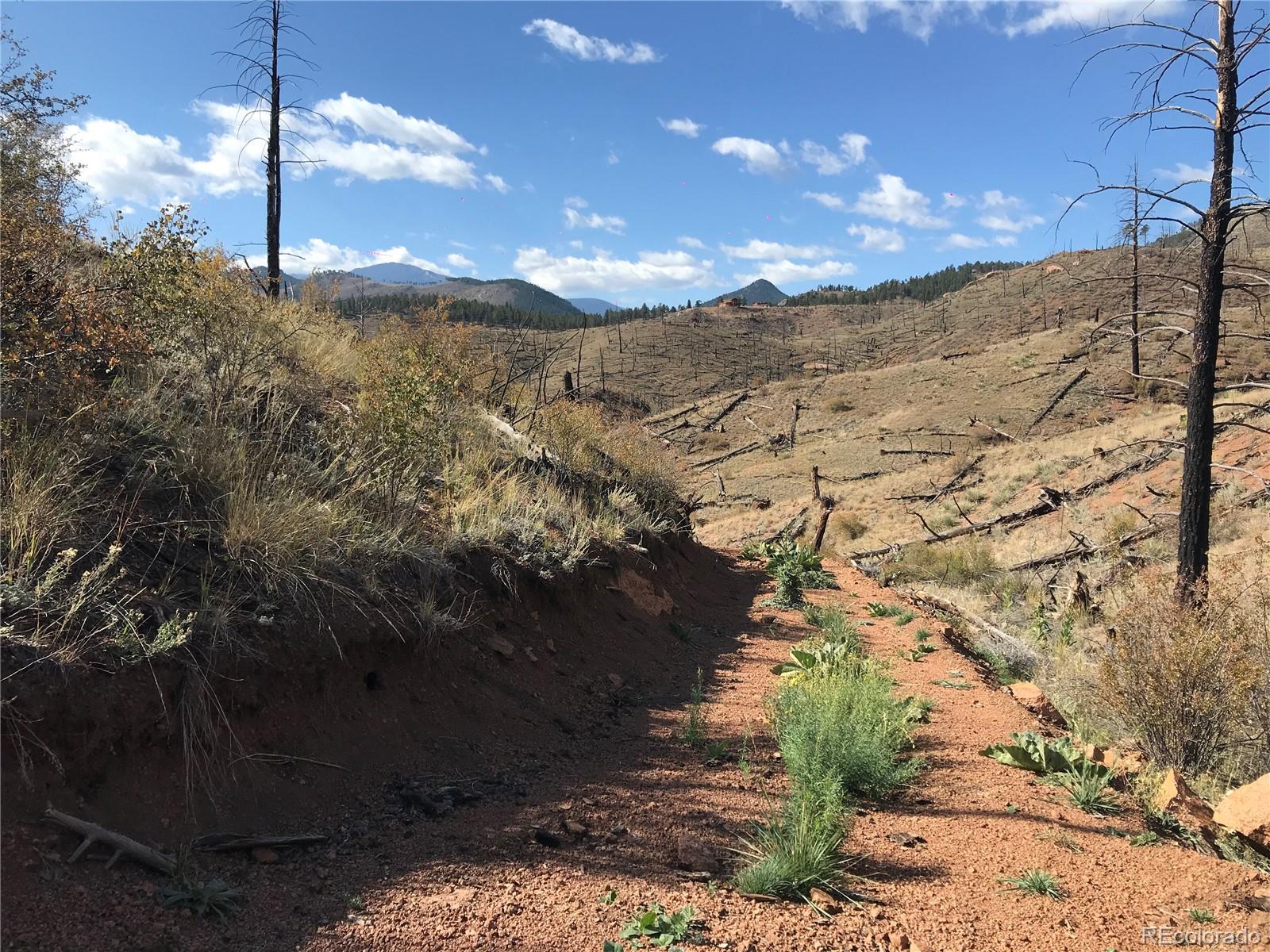 0 Cochise Trail Pine, CO 80470 - Photo 9 of 10