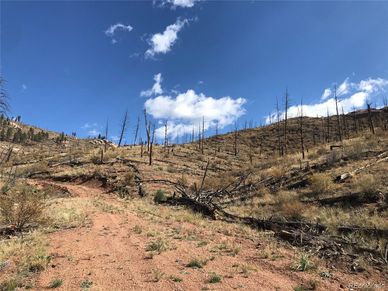 0 Cochise Trail Pine, CO 80470 - Photo 10 of 10