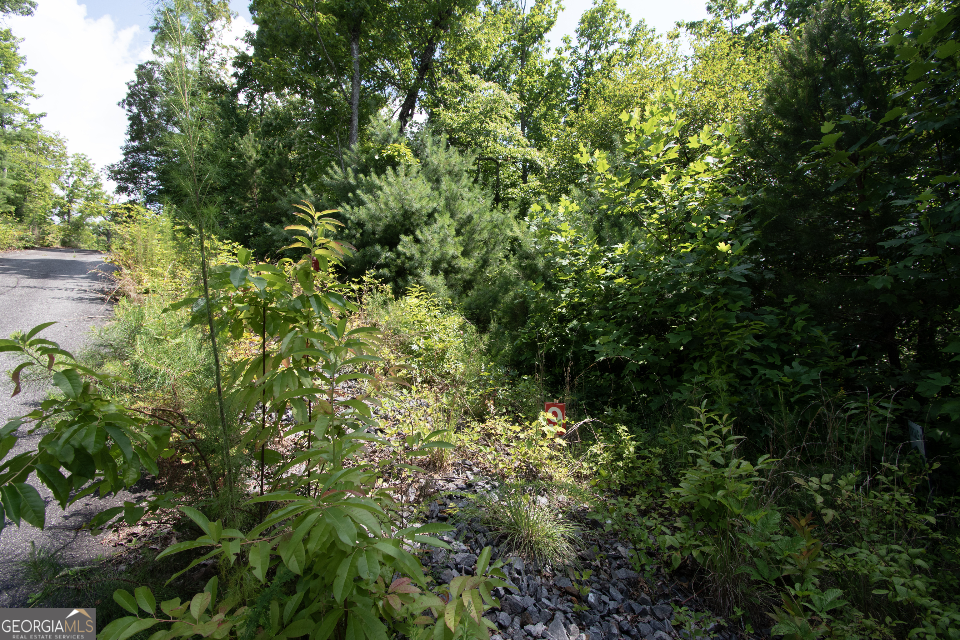 850 Bluff Road Marble, NC 28905 - Photo 14 of 31 Gallery Image 14