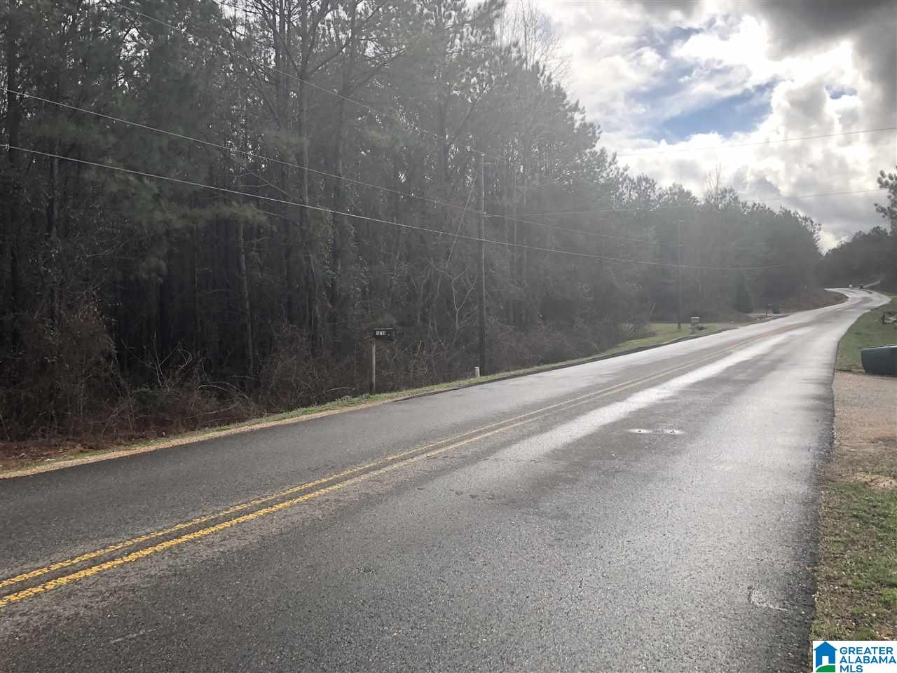 Lot 26 Crisstown Road, Unit 26 Vance, AL 35490 - Photo 5 of 5