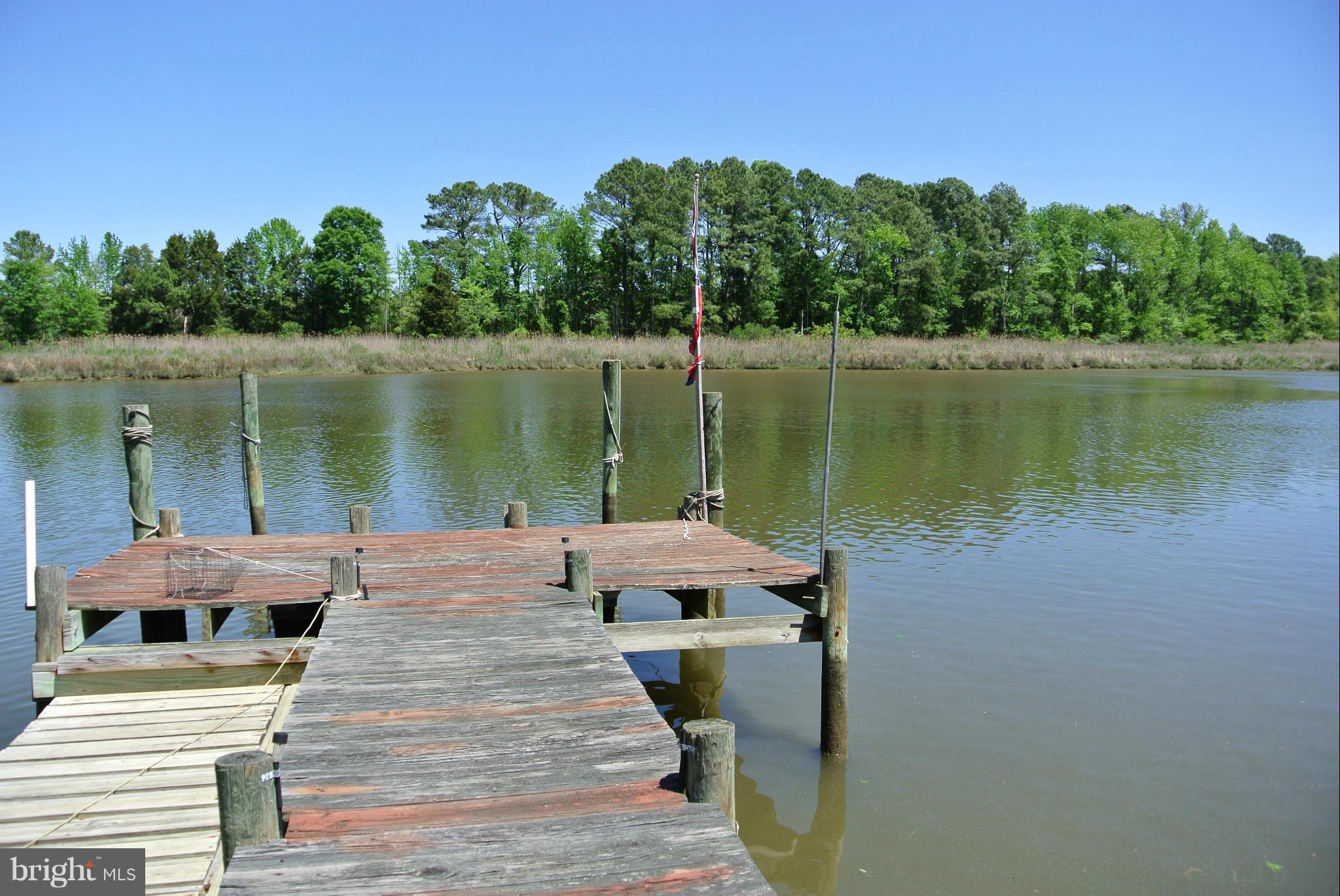 12250 Potomac View Road Newburg, MD 20664 - Photo 3 of 30 View From Dock