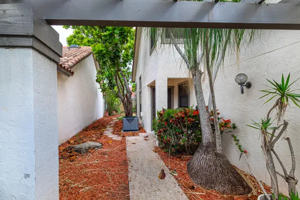 a potted plant sitting in front of a house