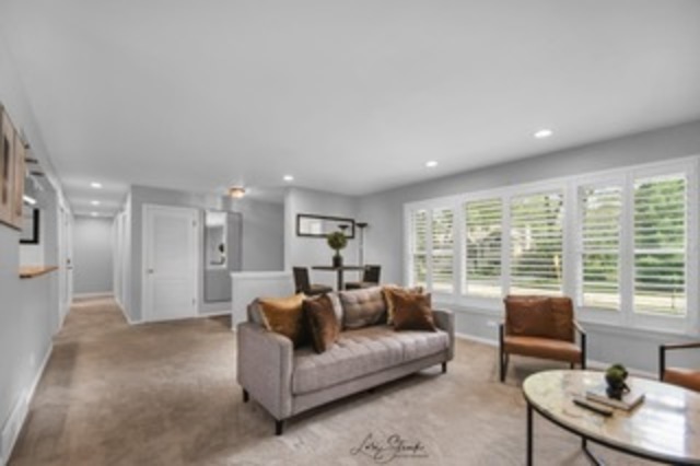 500 Chestnut Lane Darien, IL 60561 - Photo 4 of 19