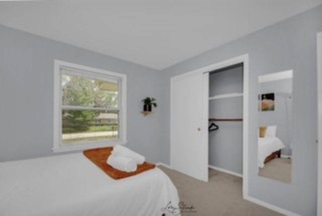 500 Chestnut Lane Darien, IL 60561 - Photo 10 of 19