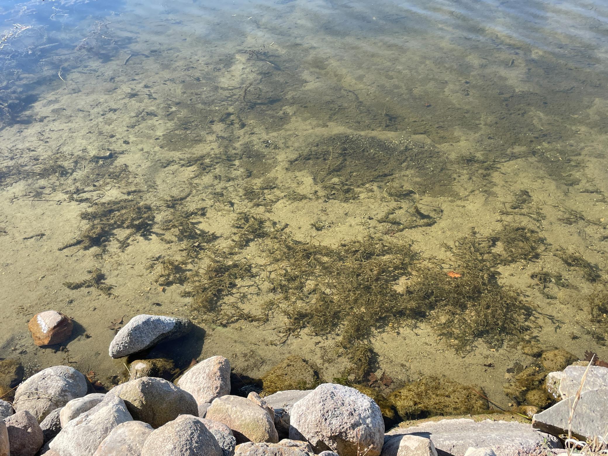 27392 Oak Point Road Elbow Lake, MN 56531 - Photo 41 of 72