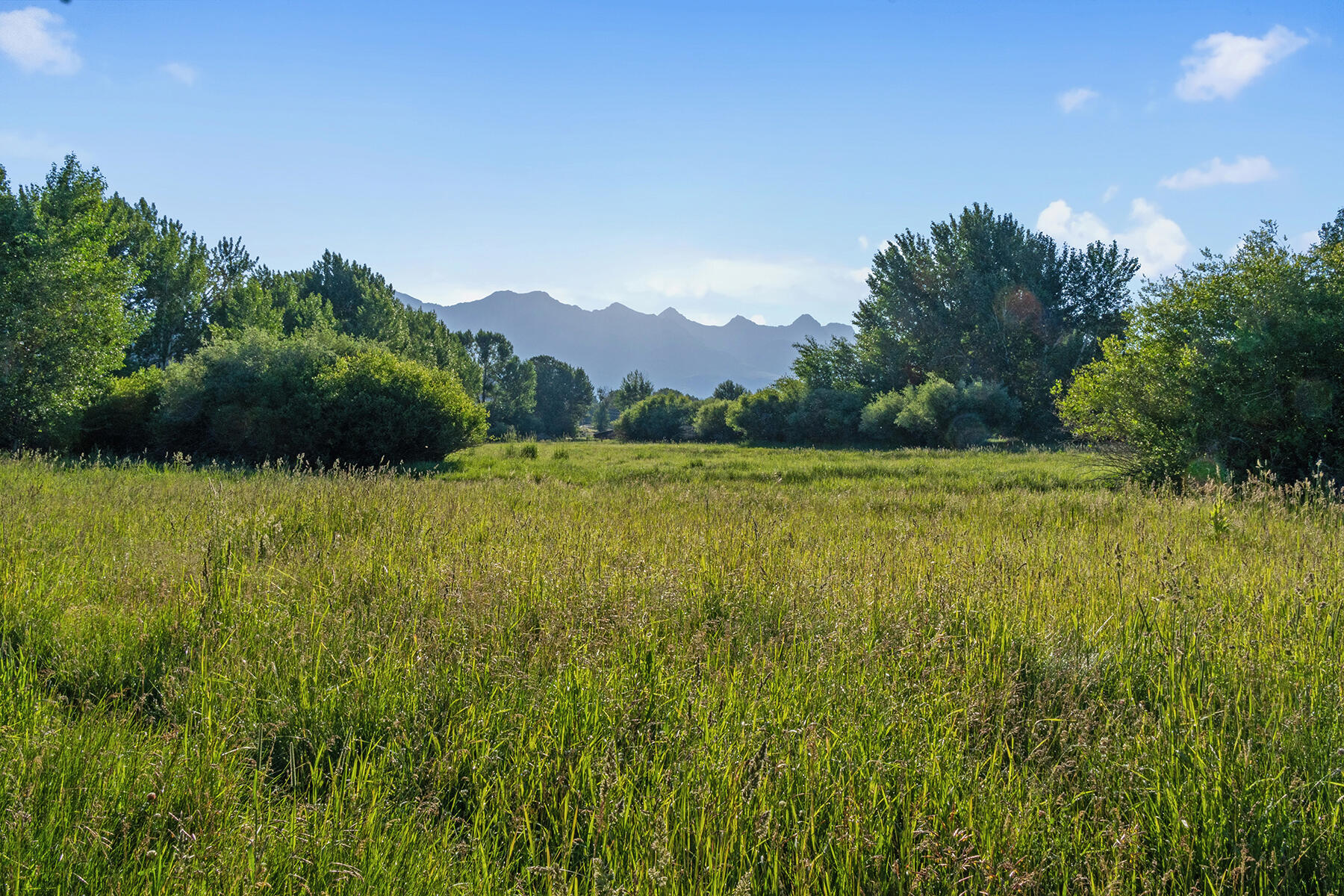 6139 Trail Creek Road Mackay, ID 83251 - Photo 87 of 100 087-big-lost