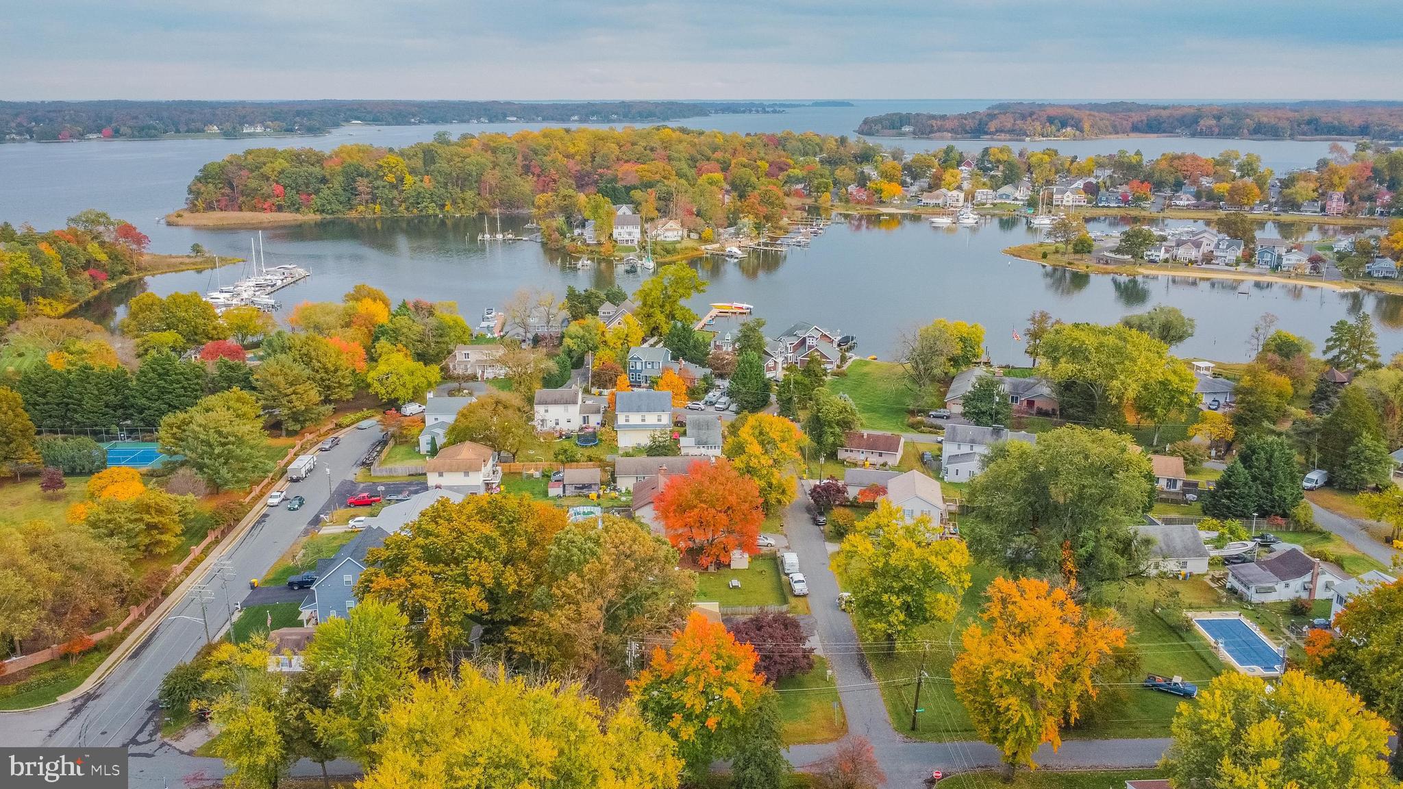 a view of a lake with a city