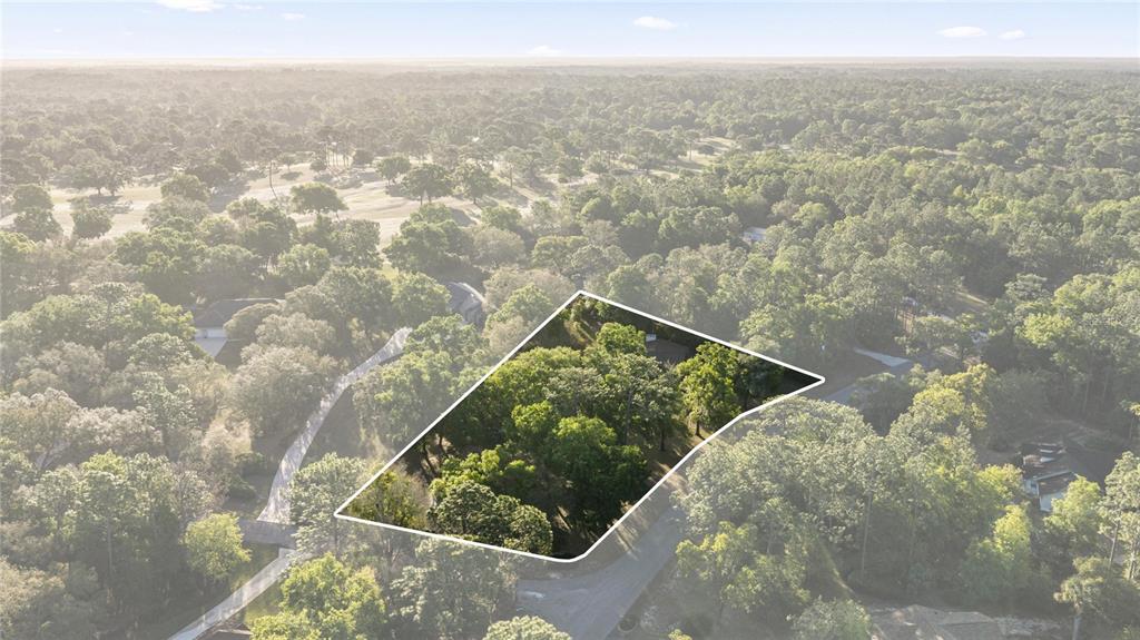 20949 Southwest 81st Loop Dunnellon, FL 34431 - Photo 12 of 60