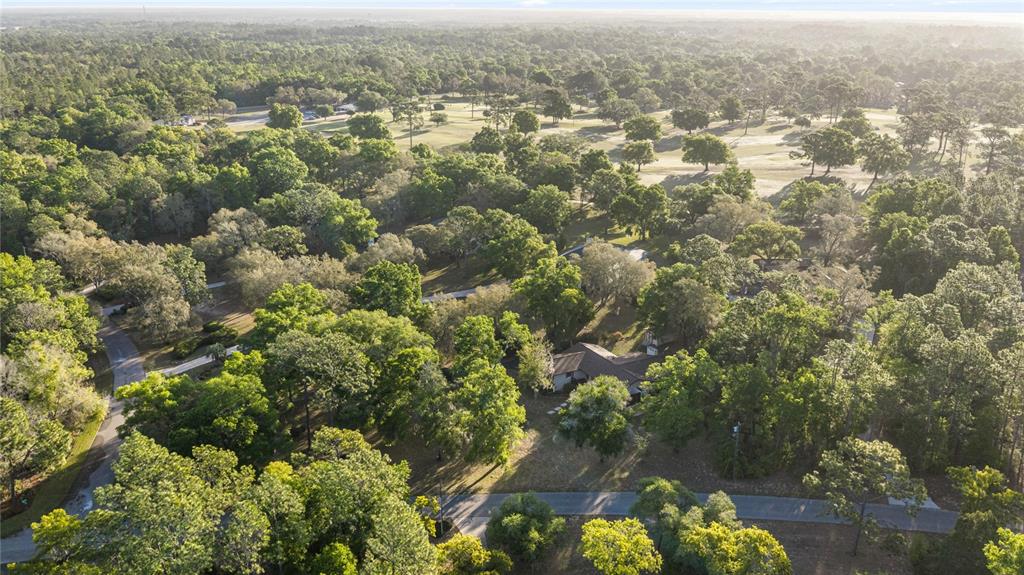 20949 Southwest 81st Loop Dunnellon, FL 34431 - Photo 13 of 60