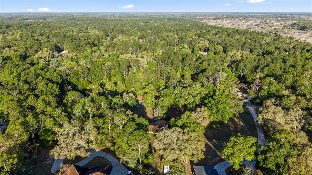 20949 Southwest 81st Loop Dunnellon, FL 34431 - Photo 14 of 60