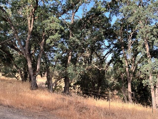 26455 Watts Valley Road Sanger, CA 93657 - Photo 3 of 6 Gallery Image 3