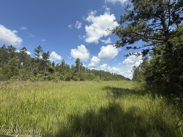 Elmer Hamilton Road Road Moss Point, MS 39562 - Photo 6 of 27 IMG_4830