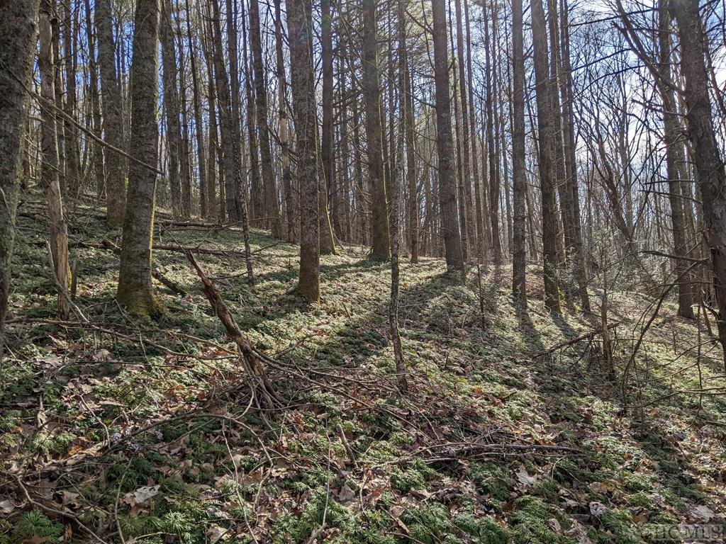 Lot 1 Big Ridge Road Glenville, NC 28736 - Photo 11 of 11 Gallery Image 11