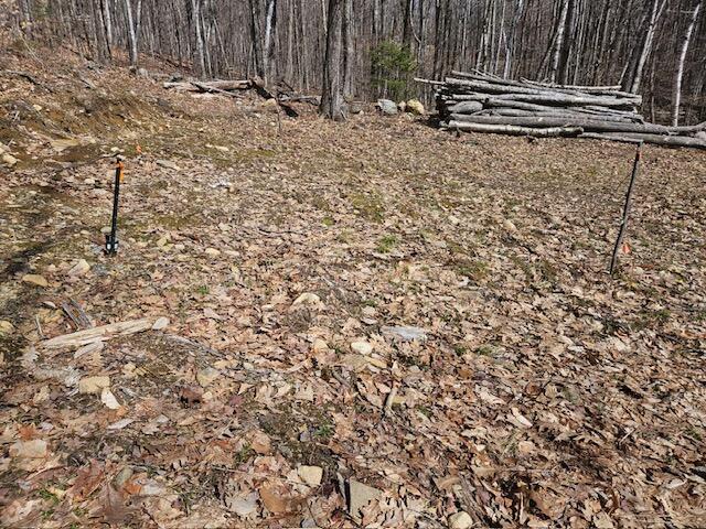 476 Day Mountain Road Temple, ME 04984 - Photo 13 of 15 image000000_8