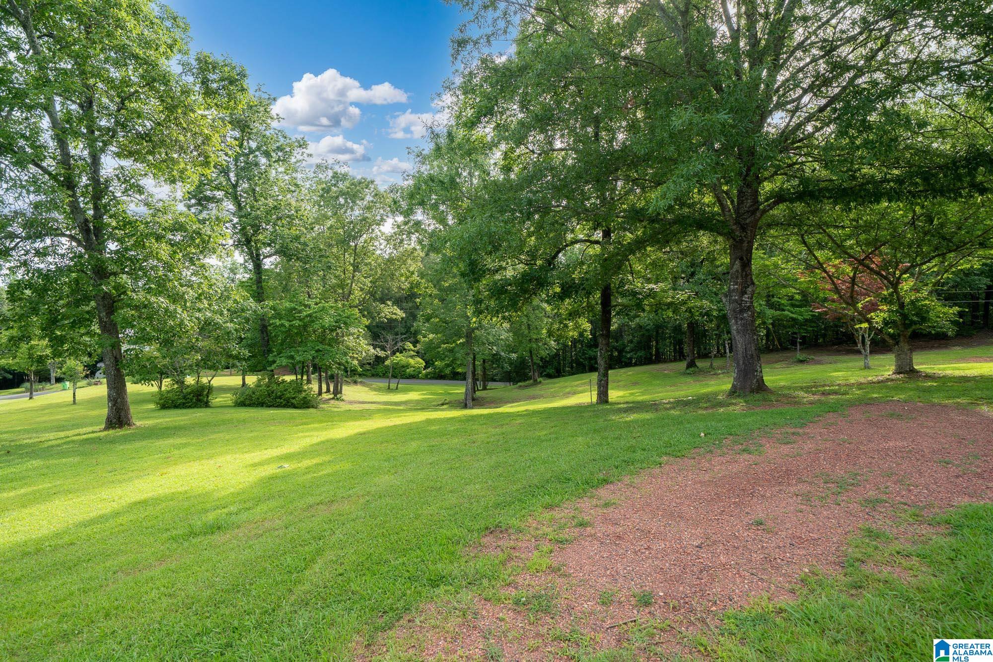 295 Ridge View Way Springville, AL 35146 - Photo 55 of 68 Gallery Image 55
