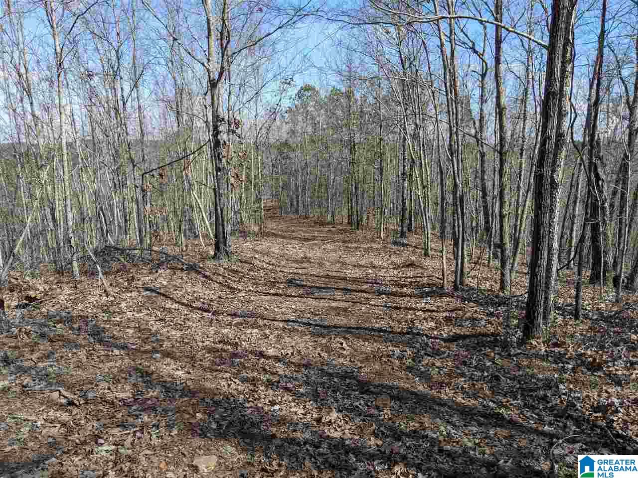 1731 Bolton Road Talladega, AL 35160 - Photo 19 of 46