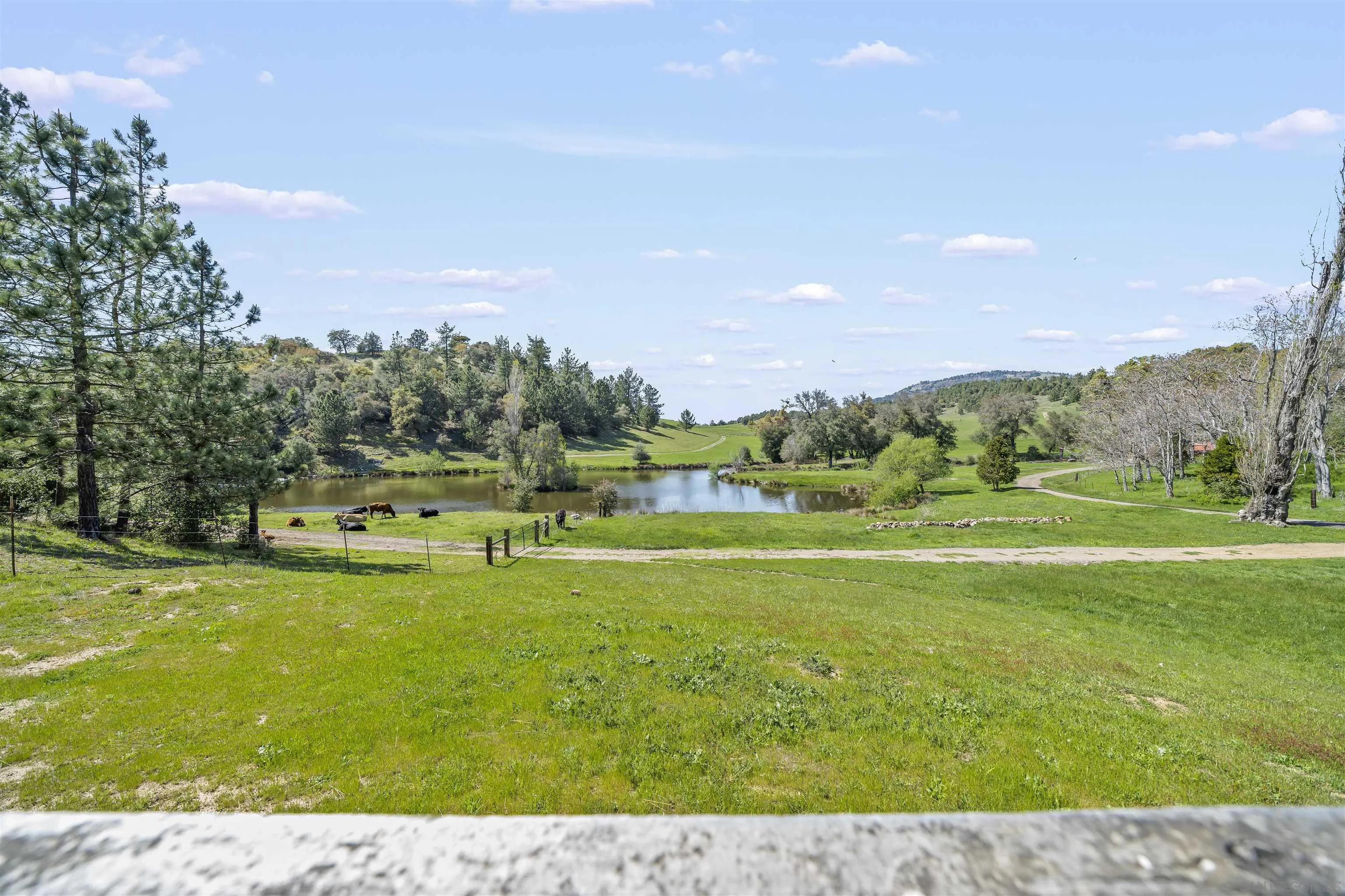2464 Wynola Road Julian, CA 92036 - Photo 47 of 50 a view of a big yard with table and chairs