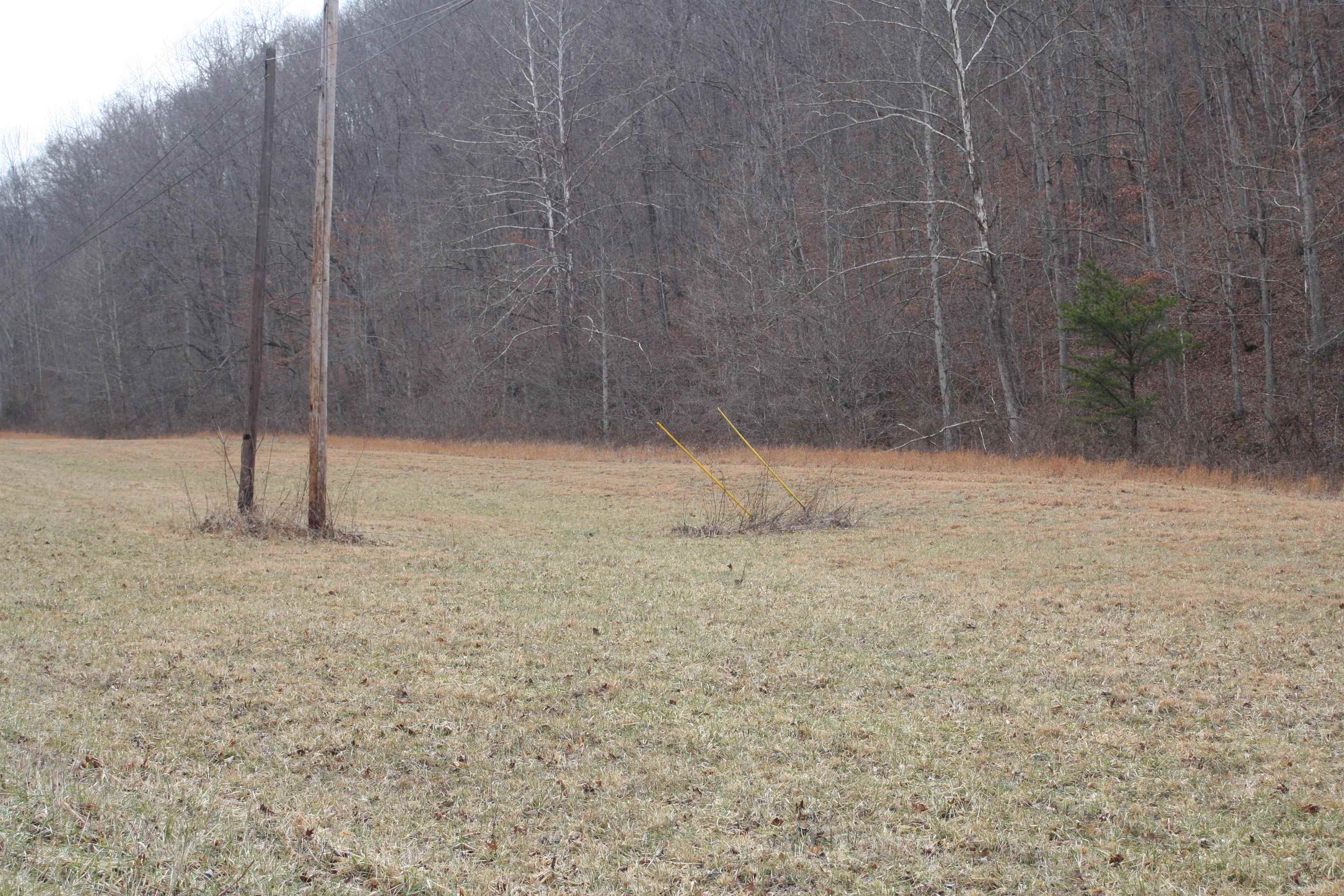 Boone Branch Road Garrison, KY 41141 - Photo 17 of 19