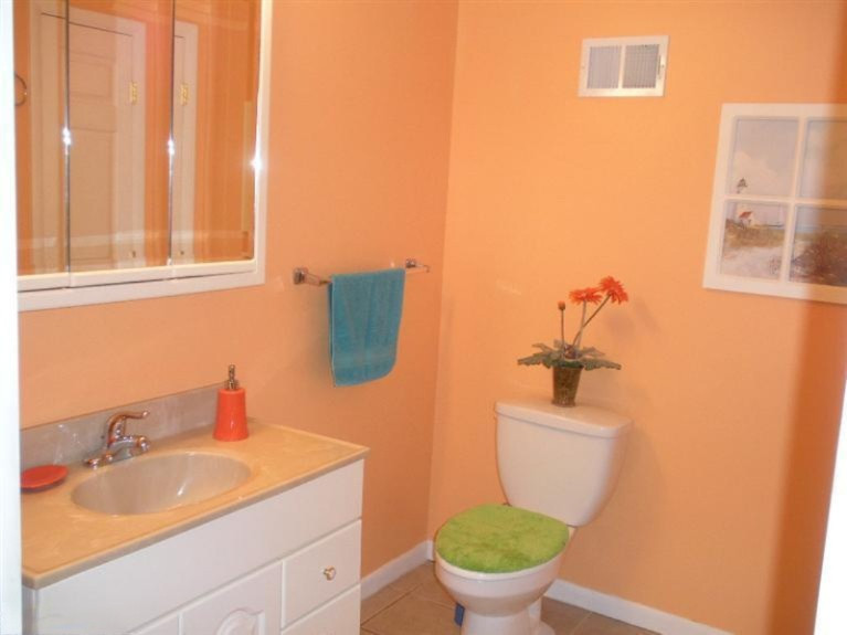 2546 Patterson Road Wayland, MI 49348 - Photo 21 of 24 Additional Photo