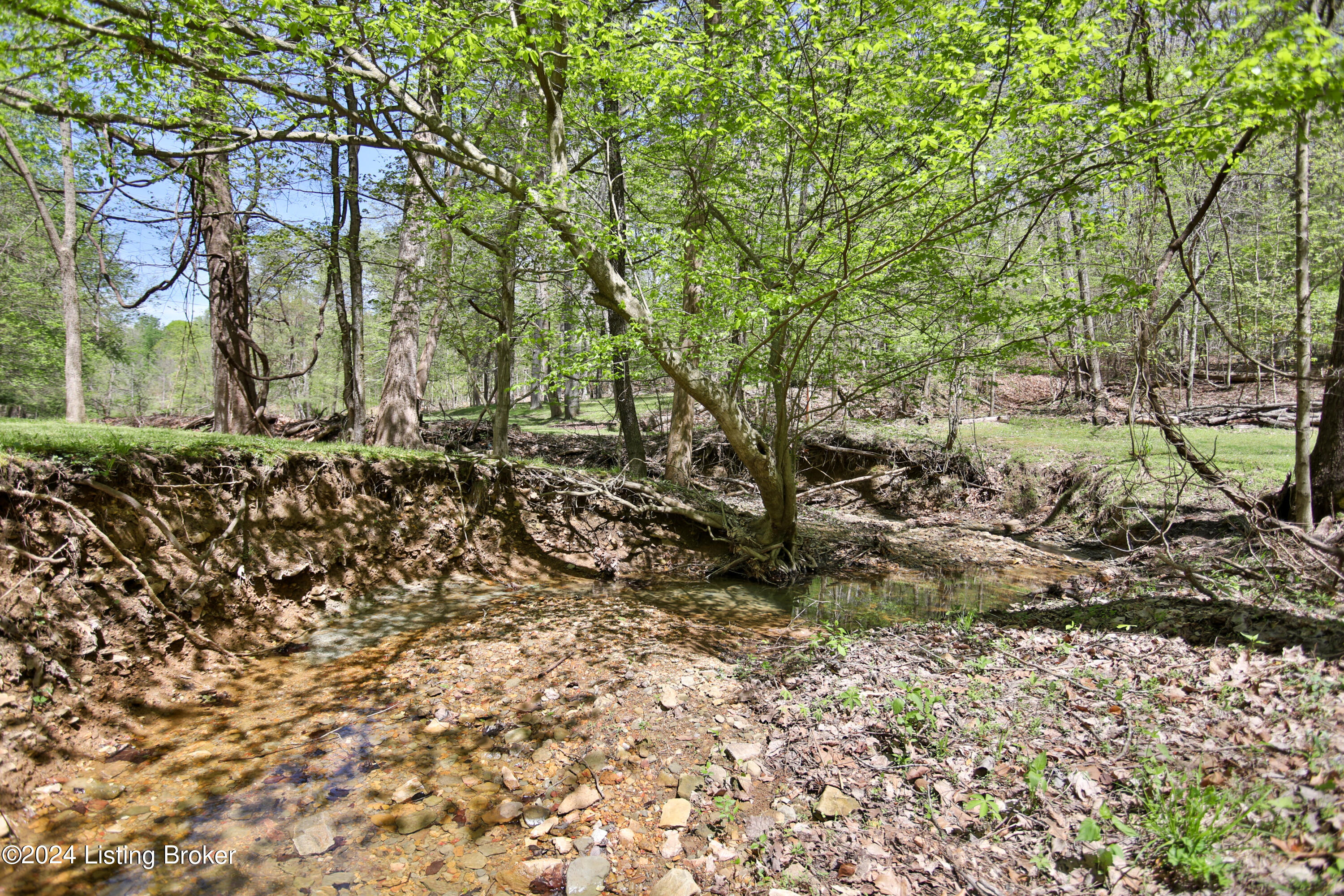 210 Rayhill Road Fairdale, KY 40118 - Photo 37 of 44 2015 Rayhill-17