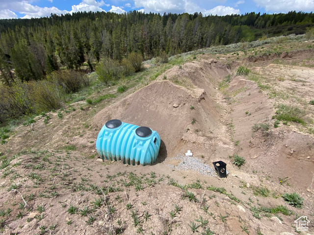 41 Grouse Loop Road, Unit 41 Freedom, WY 83120 - Photo 5 of 33 Aerial view of a forest