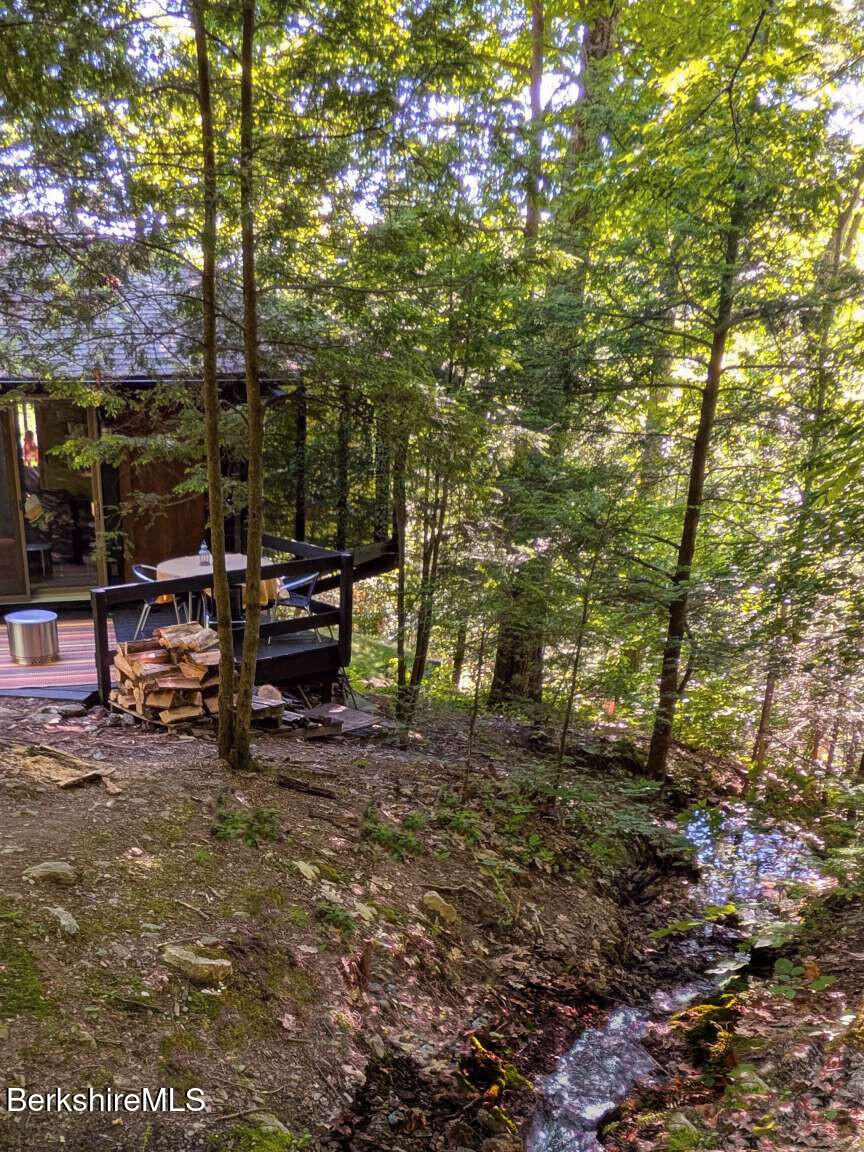 210 Mt Washington Road Egremont, MA 01230 - Photo 13 of 17 Borenzweig.13