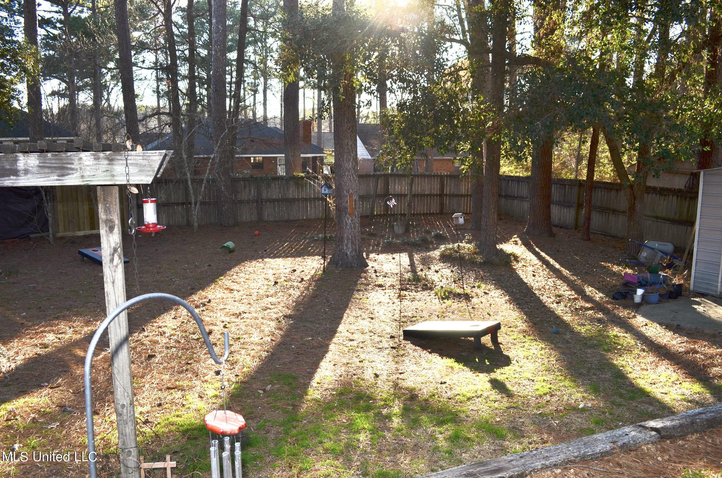 544 Trace View Road Madison, MS 39110 - Photo 27 of 28 Back yard