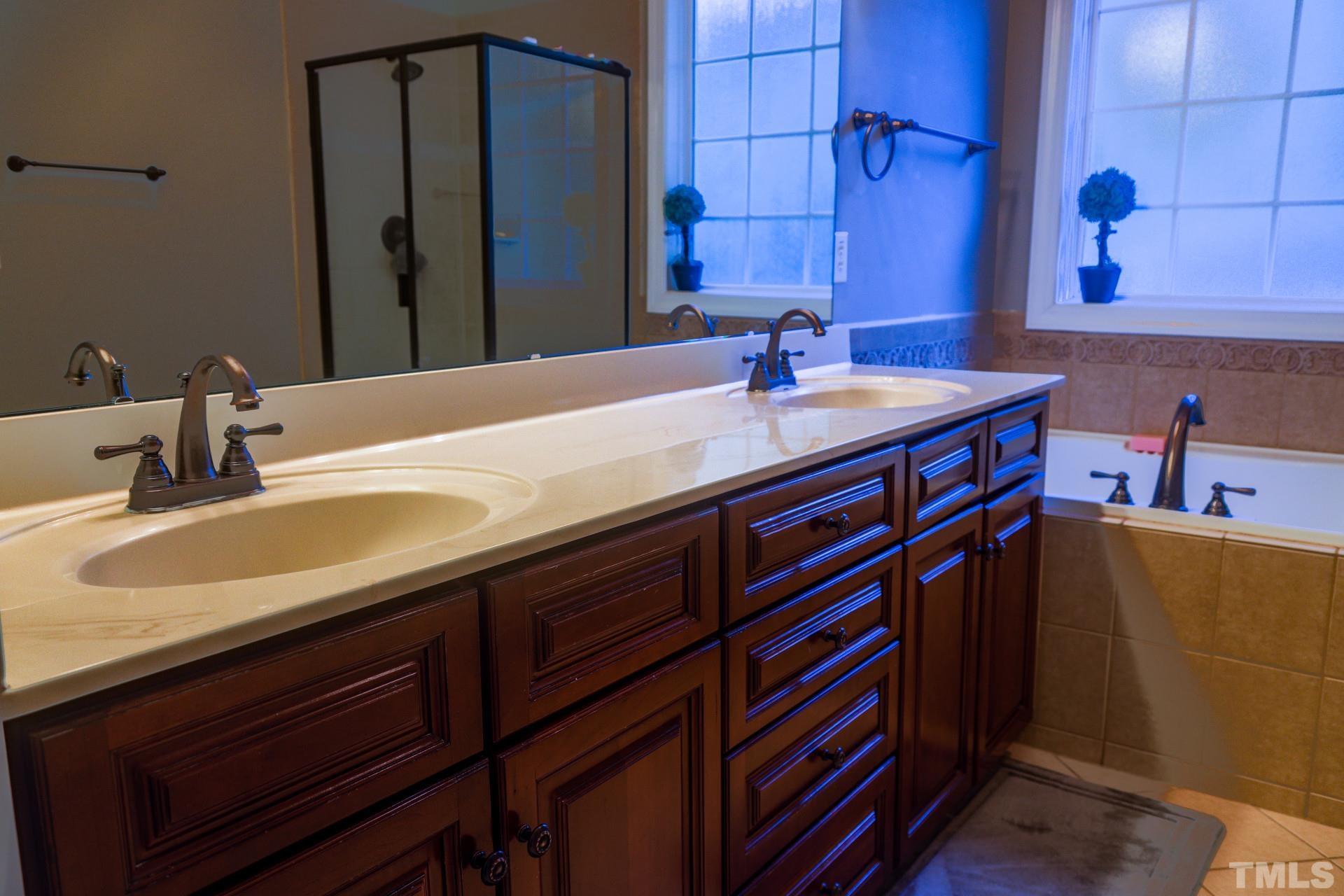 10100 Darling Street Raleigh, NC 27613 - Photo 14 of 24 a bathroom with a sink and a mirror