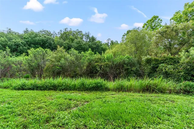 a view of a room with a floor to ceiling window and carpet