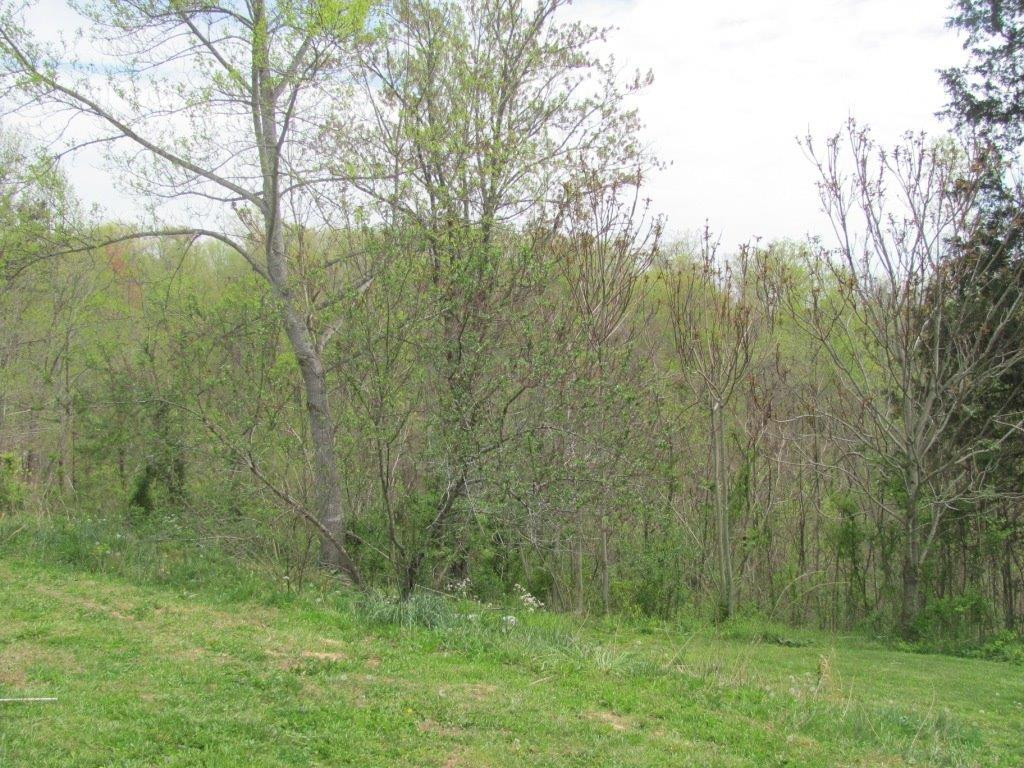 3140 Salt Rock Road McKee, KY 40447 - Photo 29 of 47 Photo 29