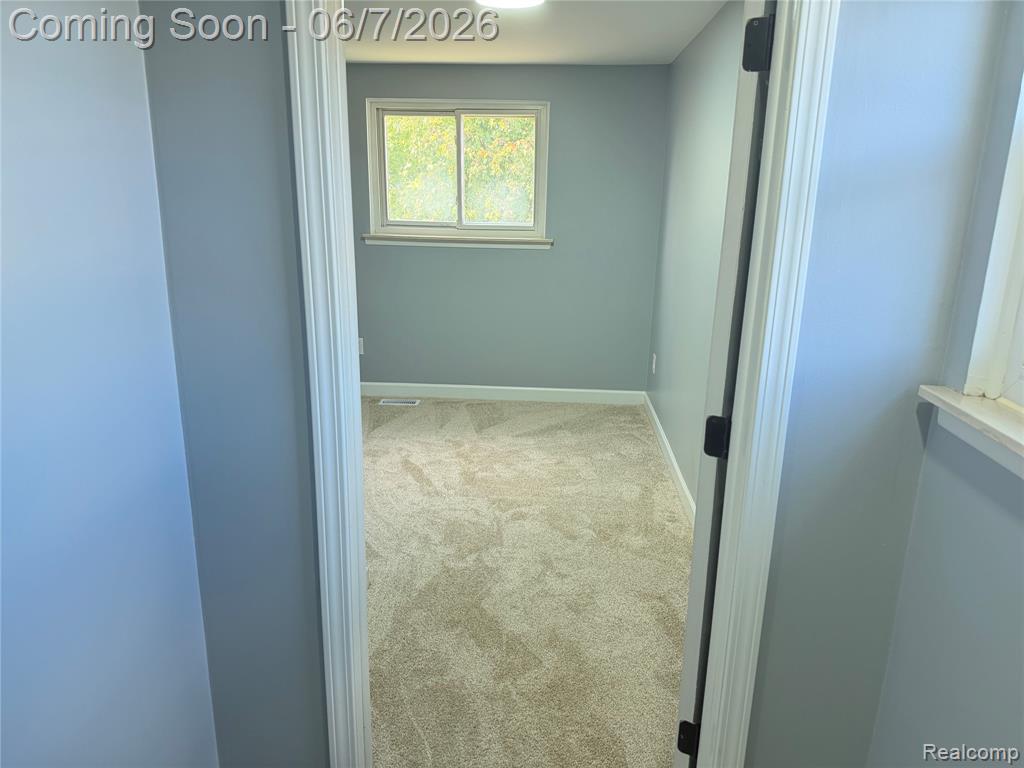20698 Coachwood Road Riverview, MI 48193 - Photo 21 of 37