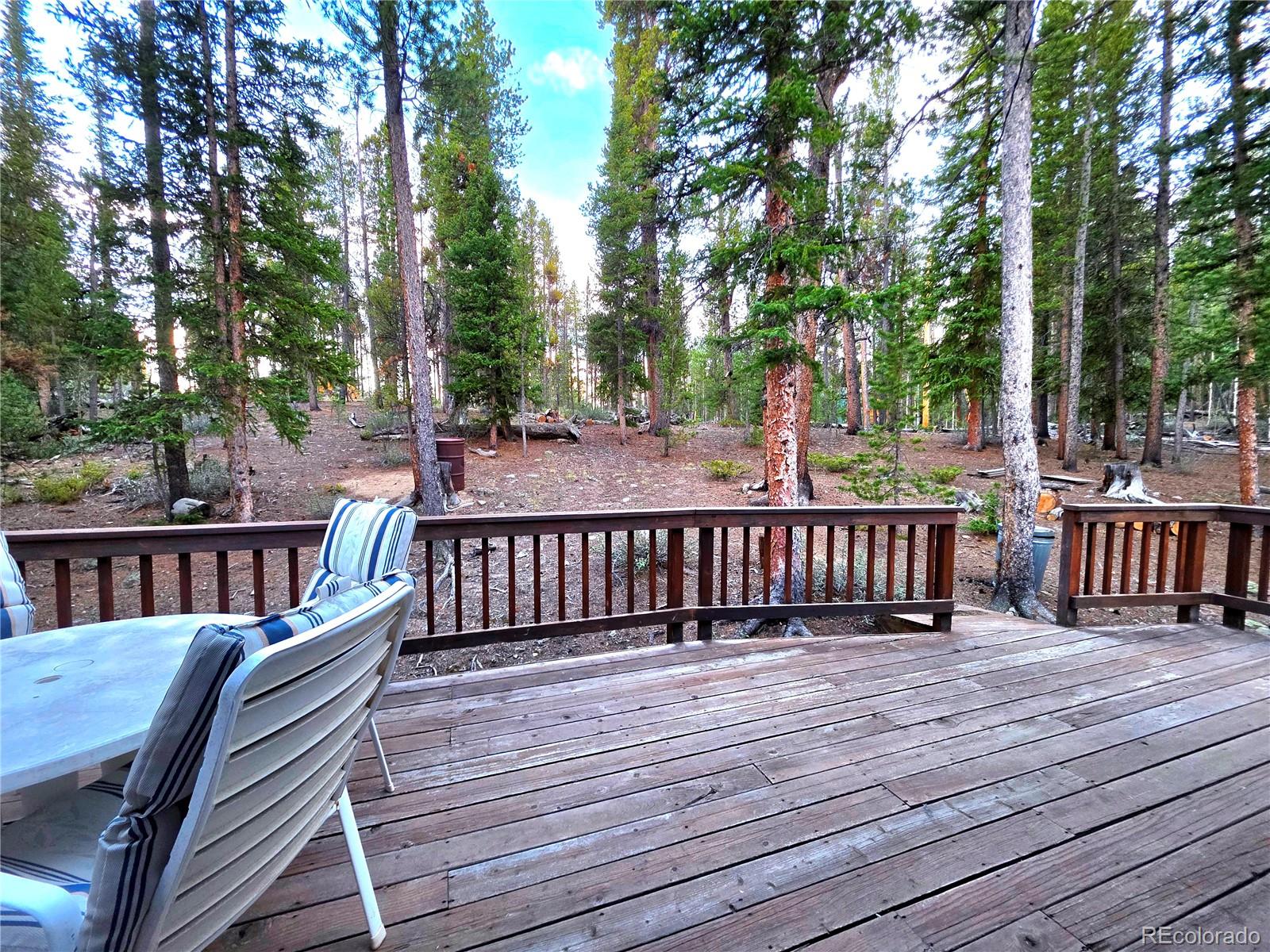 211 Pine Ridge Road Alma, CO 80420 - Photo 23 of 48