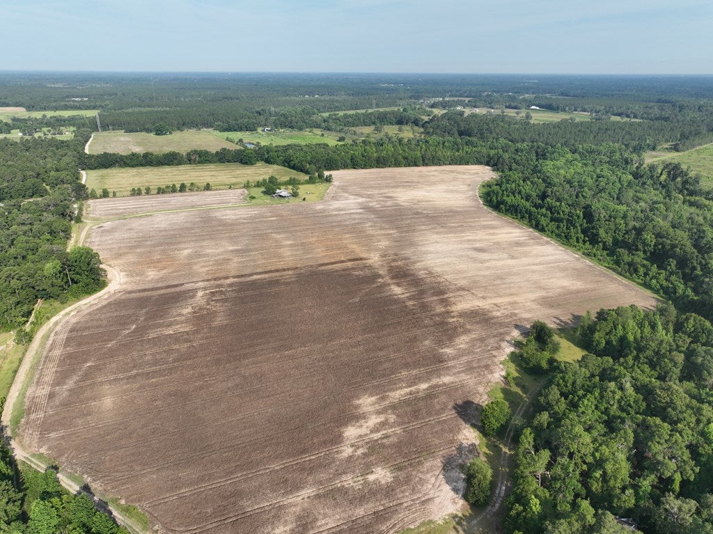 4884 Skipper Bridge Road Hahira, GA 31632 - Photo 18 of 21 Gallery Image 18