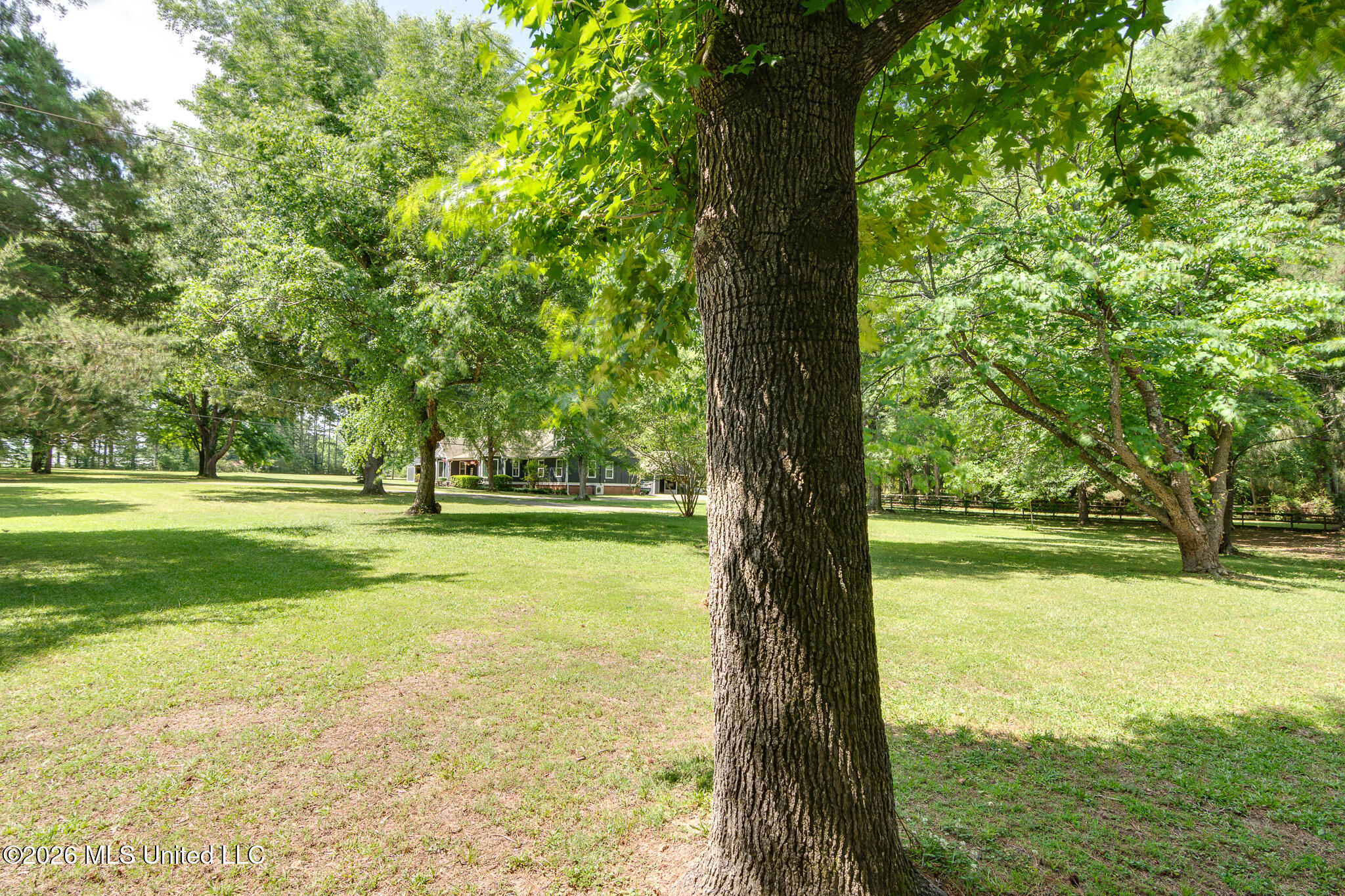993 Quinn Road Byhalia, MS 38611 - Photo 59 of 73 993 Quinn Road-59