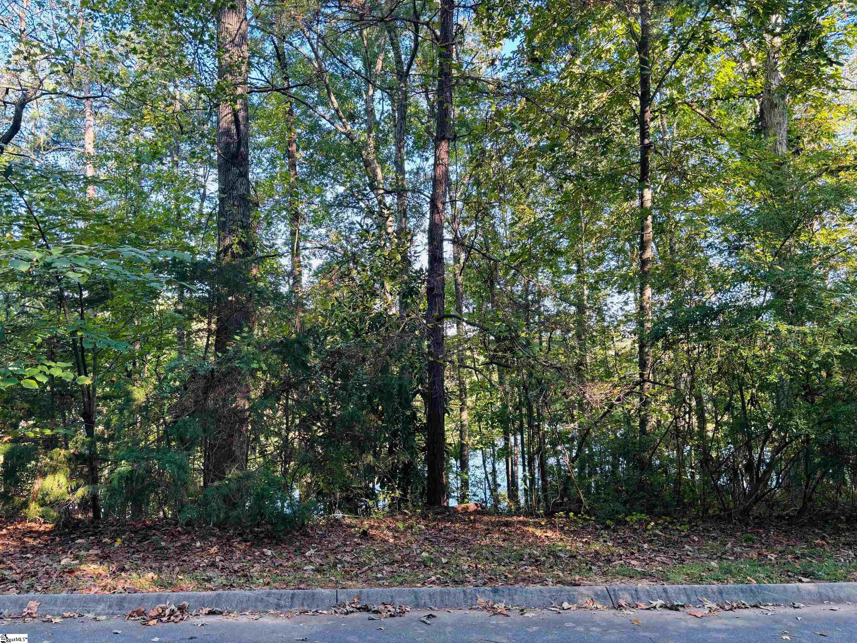 15106 Beacon Ridge Drive Seneca, SC 29678 - Photo 1 of 6 Gallery Image 1