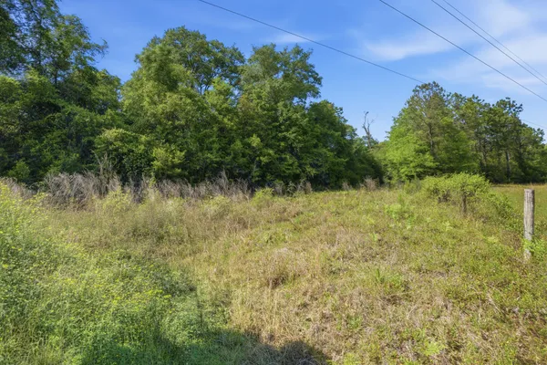 $165,000 | Tbd Hilton Trail, Baker, FL 32531