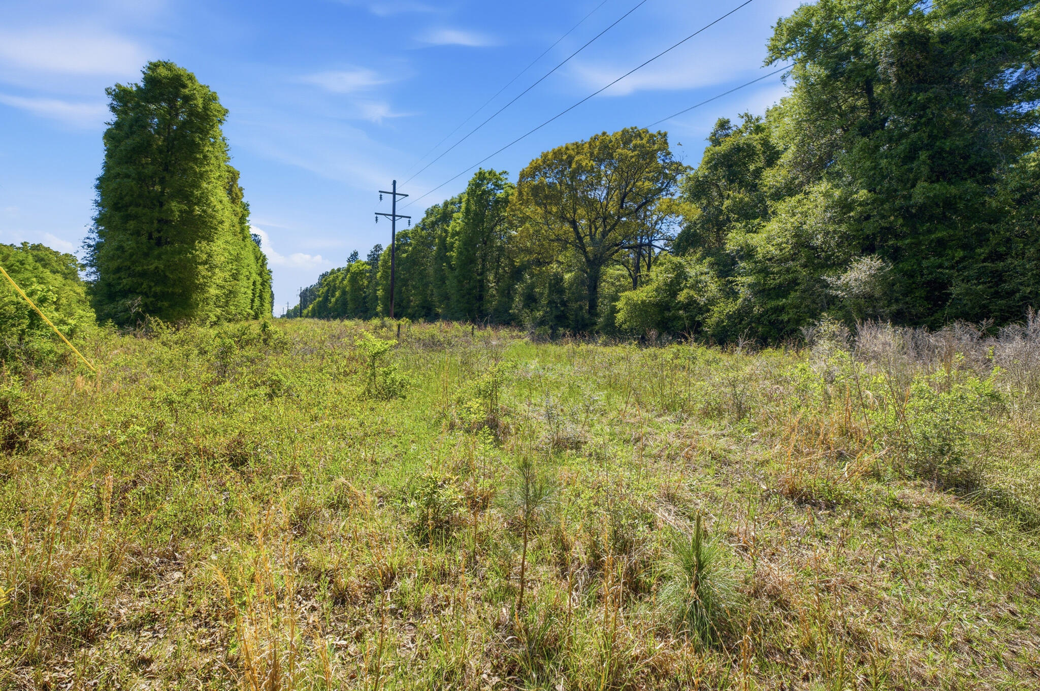 Tbd Hilton Trail Baker, FL 32531 - Photo 11 of 14 a backyard of a house with lots of green space