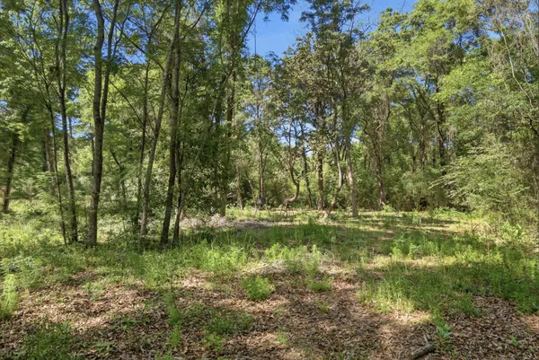 $165,000 | Tbd Hilton Trail, Baker, FL 32531