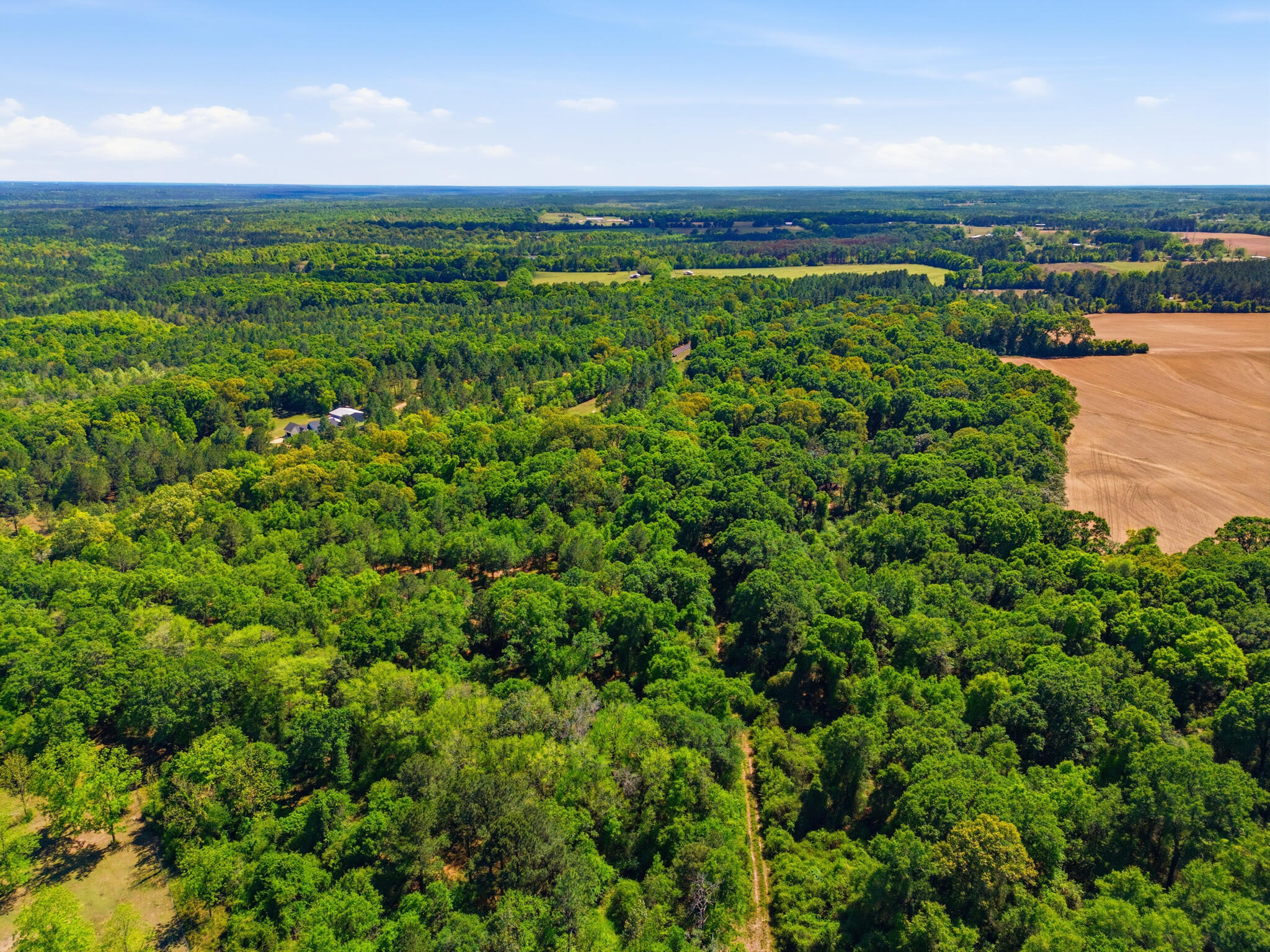 Tbd Hilton Trail Baker, FL 32531 - Photo 13 of 14 a view of a city with lush green forest