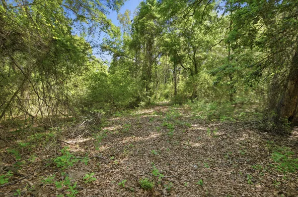 $165,000 | Tbd Hilton Trail, Baker, FL 32531