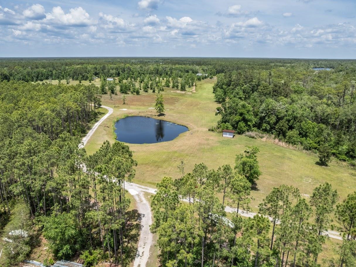 881 Hickory Hammock Road Carrabelle, FL 32322 - Photo 6 of 37