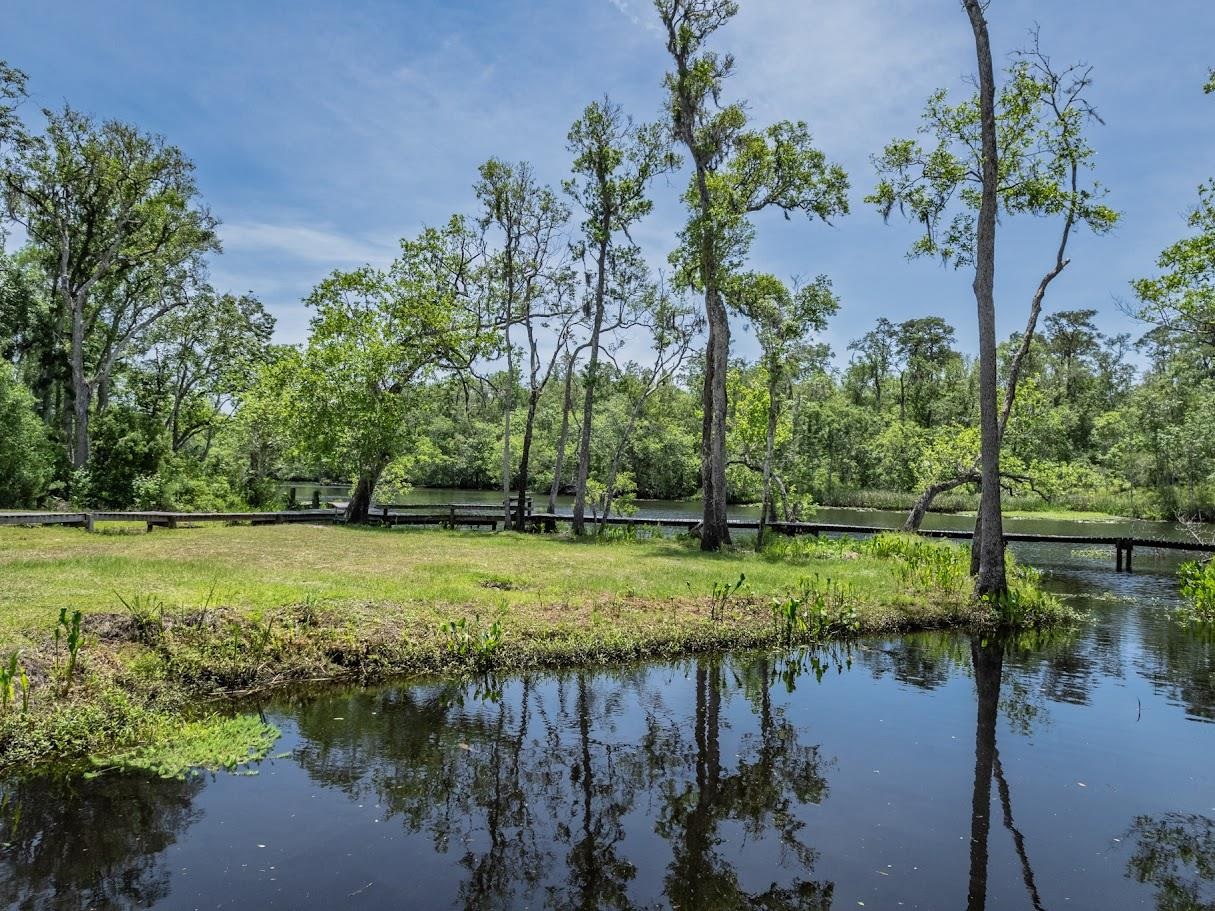 881 Hickory Hammock Road Carrabelle, FL 32322 - Photo 8 of 37
