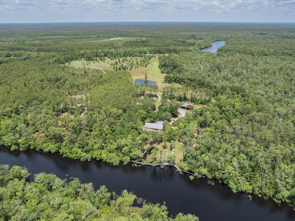 881 Hickory Hammock Road Carrabelle, FL 32322 - Photo 10 of 37