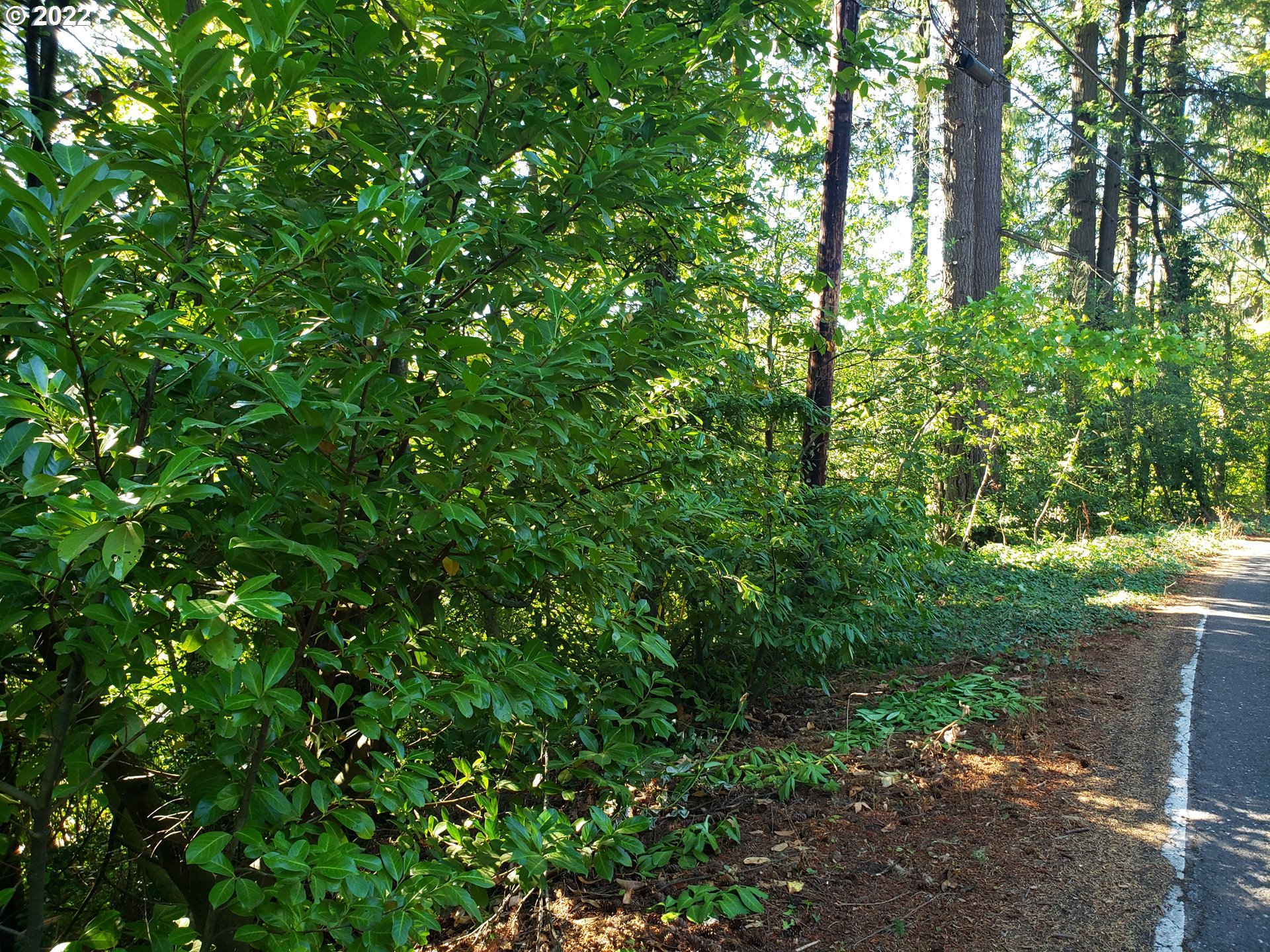 Southwest Hewett Boulevard Portland, OR 97221 - Photo 2 of 11