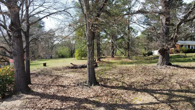 a view of a tree in the middle of a yard