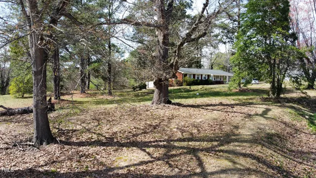 a picture of a park with furniture and a window