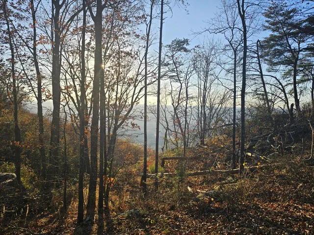 $220,000 | 407 Brow Wood, Lookout Mountain, GA 30750