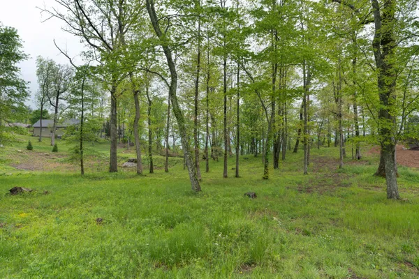 $195,000 | 407 Brow Wood, Lookout Mountain, GA 30750
