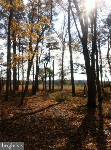 Lot 1 Collins Road Bishopville, MD 21813 - Photo 1 of 4 Gallery Image 1