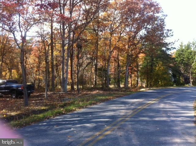 Lot 1 Collins Road Bishopville, MD 21813 - Photo 2 of 4 Gallery Image 2